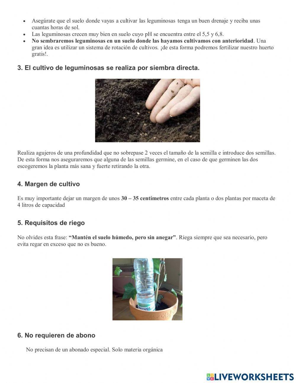 Siembra y cultivo de leguminosas