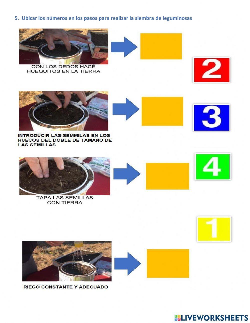 Siembra y cultivo de leguminosas