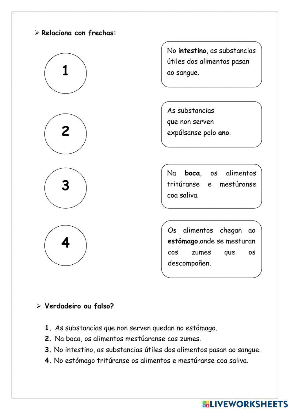 Aparato dixestivo e respiratorio
