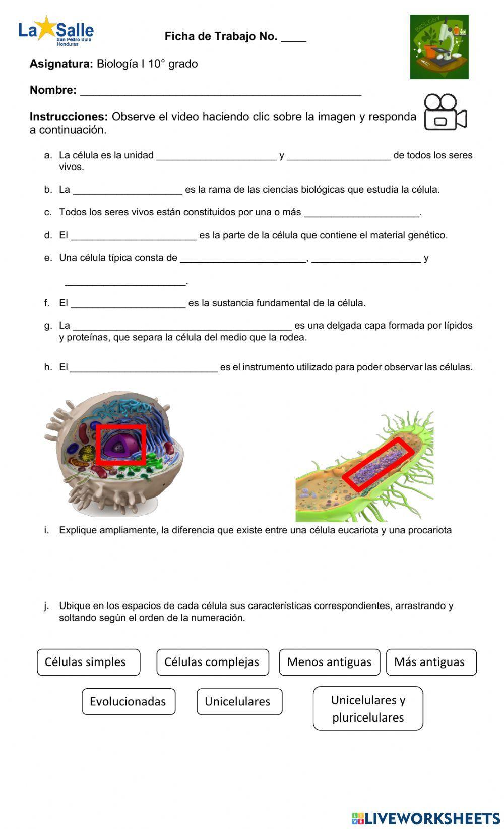 Célula procariota y eucariota