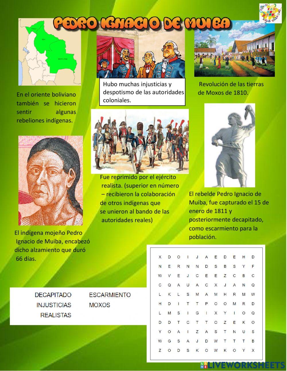 Revolucion indígena