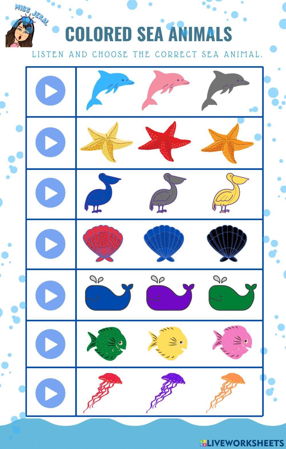 Review Sea animals