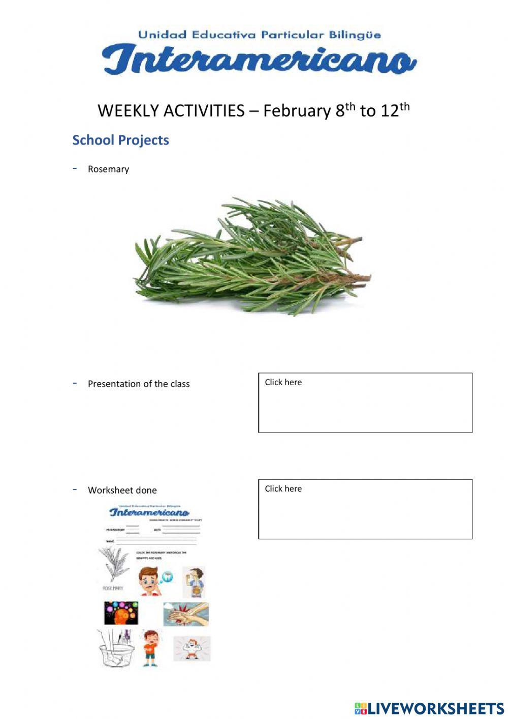 Weekly activities - Preparatory -Week 37