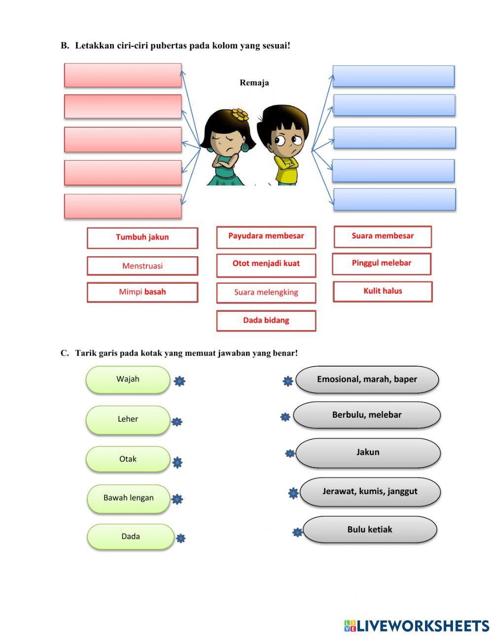 Ipa kelas 6 tema 7 pubertas