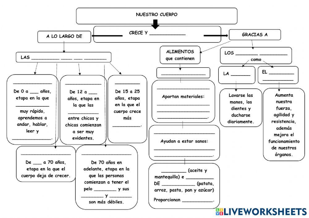 Esquema unidad 3 de natu