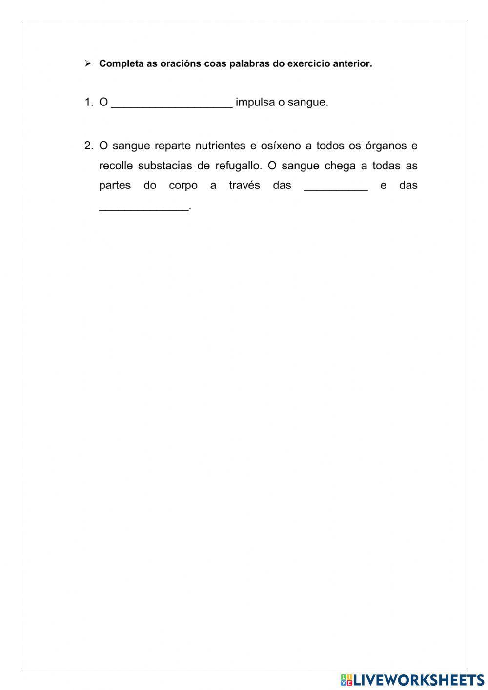 Ciencias Naturais-función nutrición-ap. circulatorio