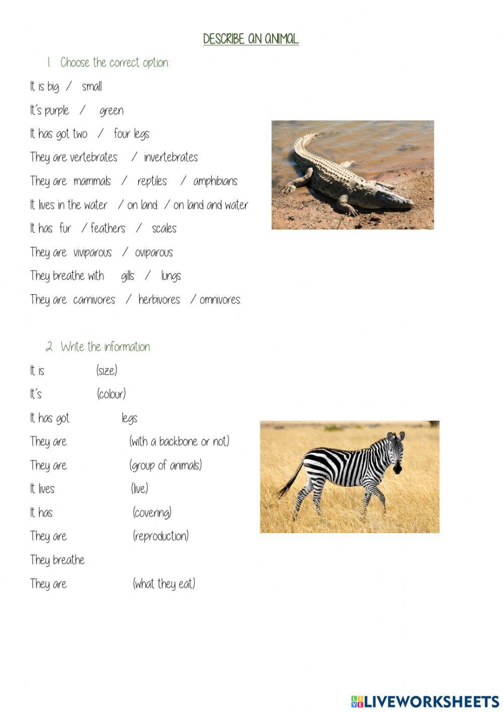 Describing animals