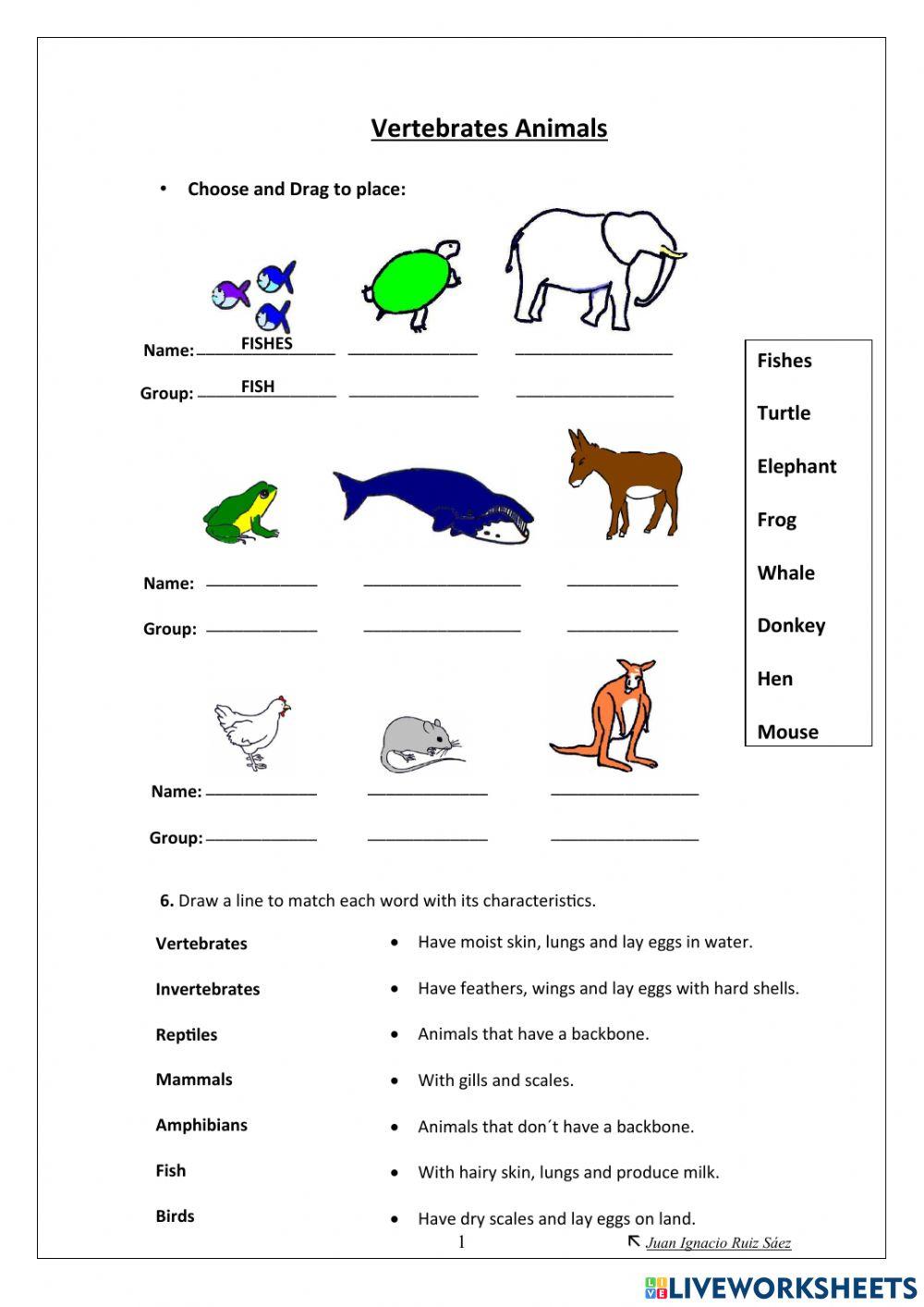 Vertebrate Animals 3