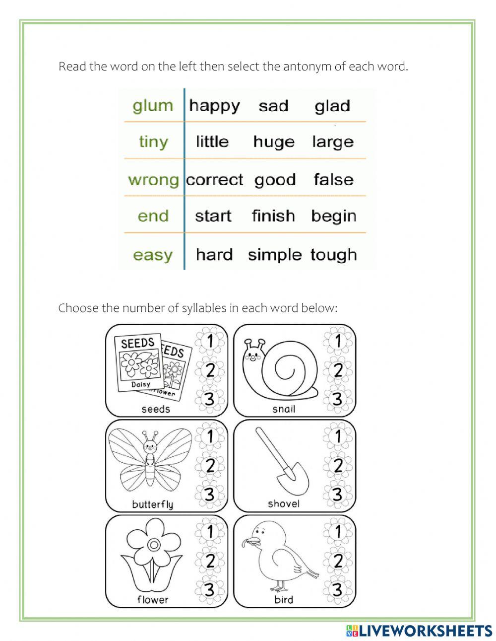 Phonics and Vocabulary Feb 12th Test