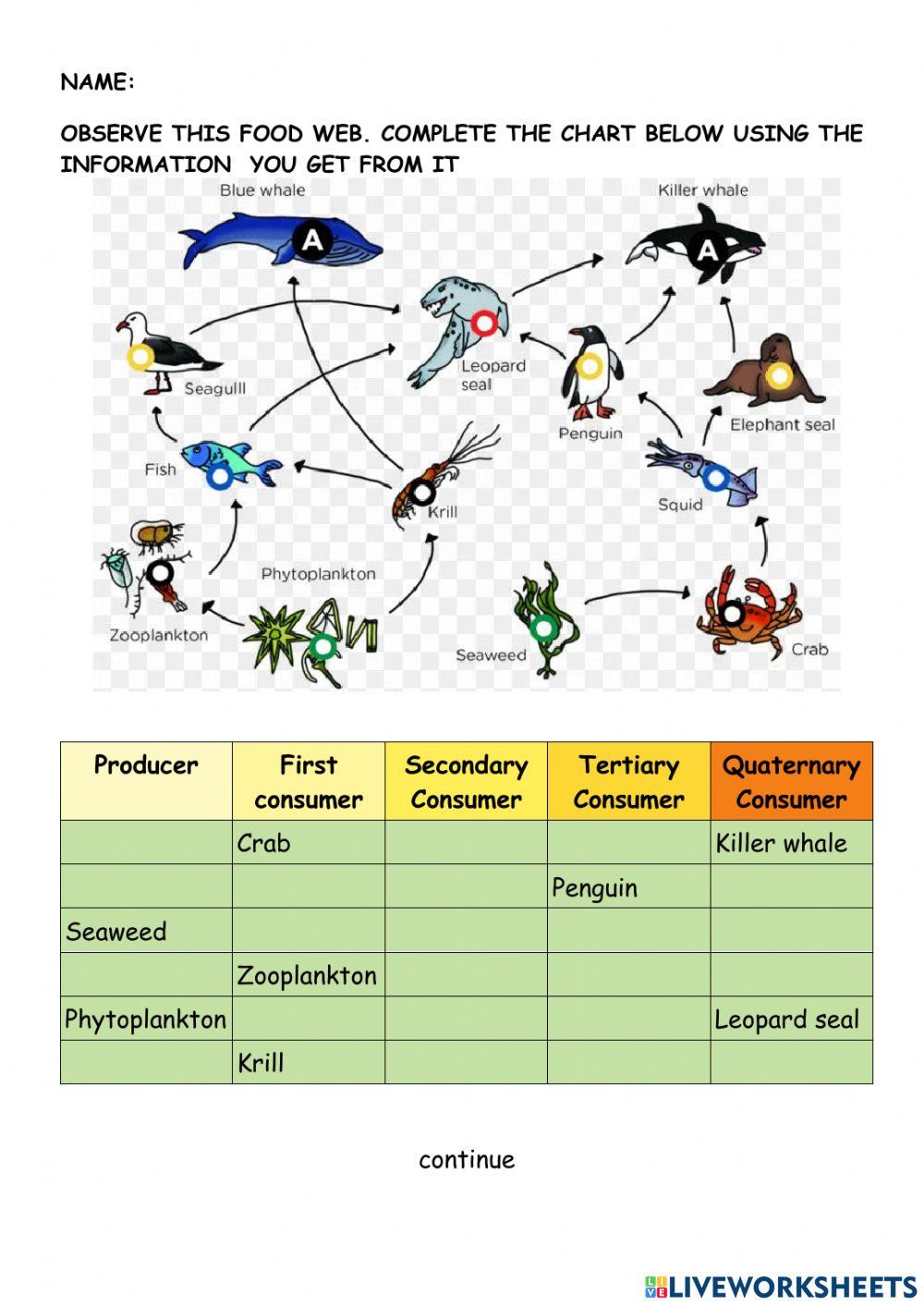 Ecosystems and interactions worksheet Live Worksheets