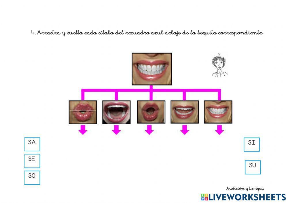 Introducción sonido S