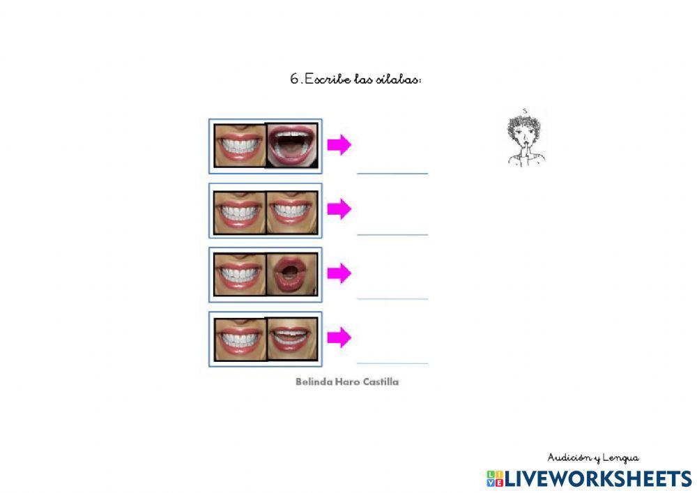 Introducción sonido S