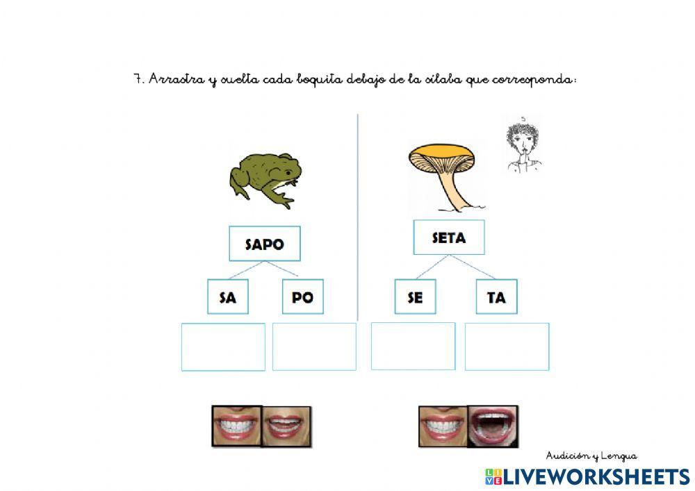 Introducción sonido S