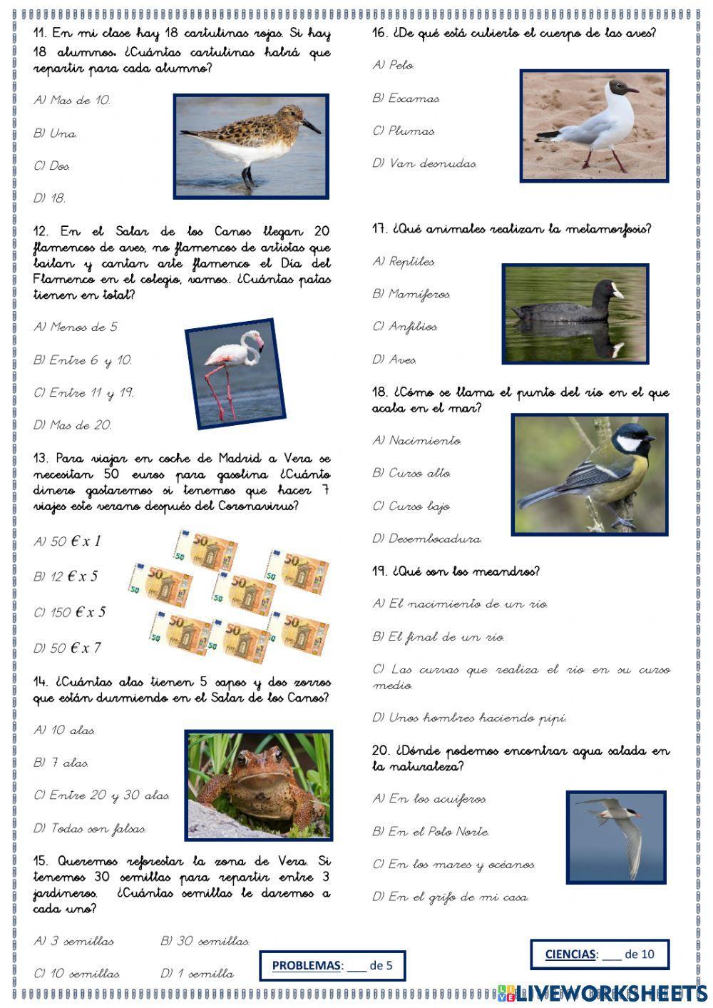 Minimir 16 worksheet | Live Worksheets