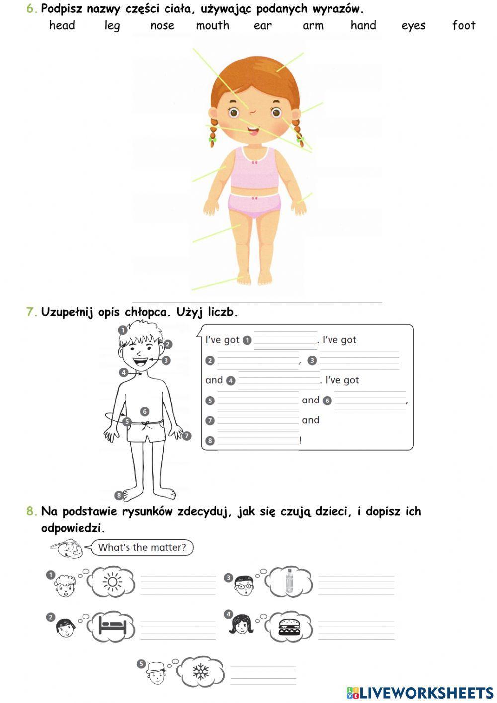 Bugs Team 2 Unit 4 Extra worksheet