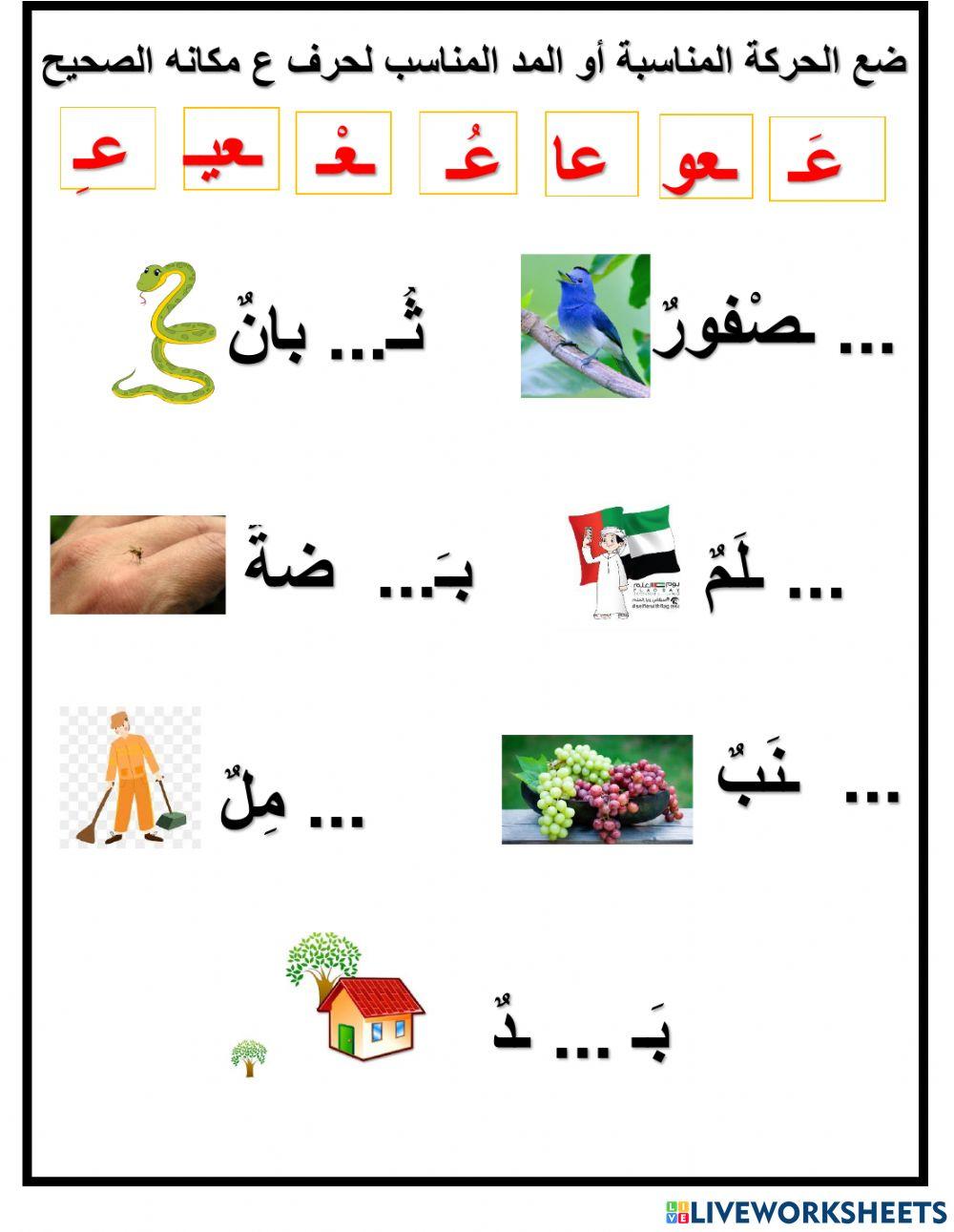 حركات ومدود حرف ع