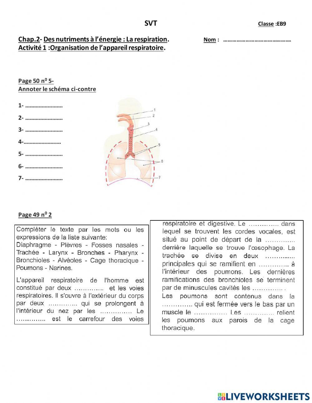 Appareil respiratoire