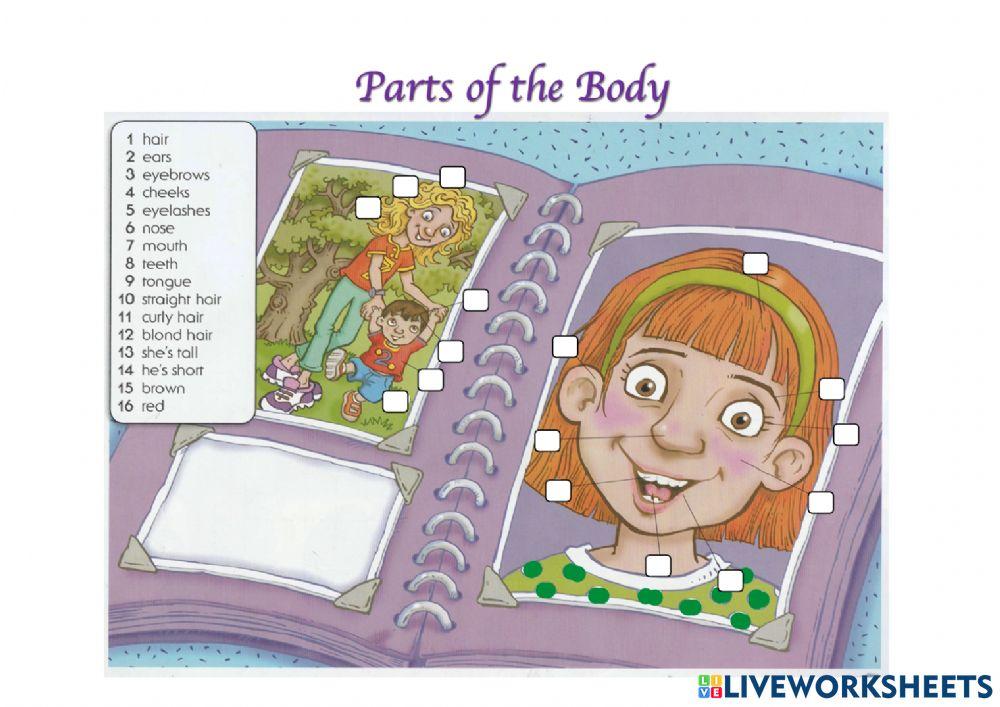 Parts of the Body