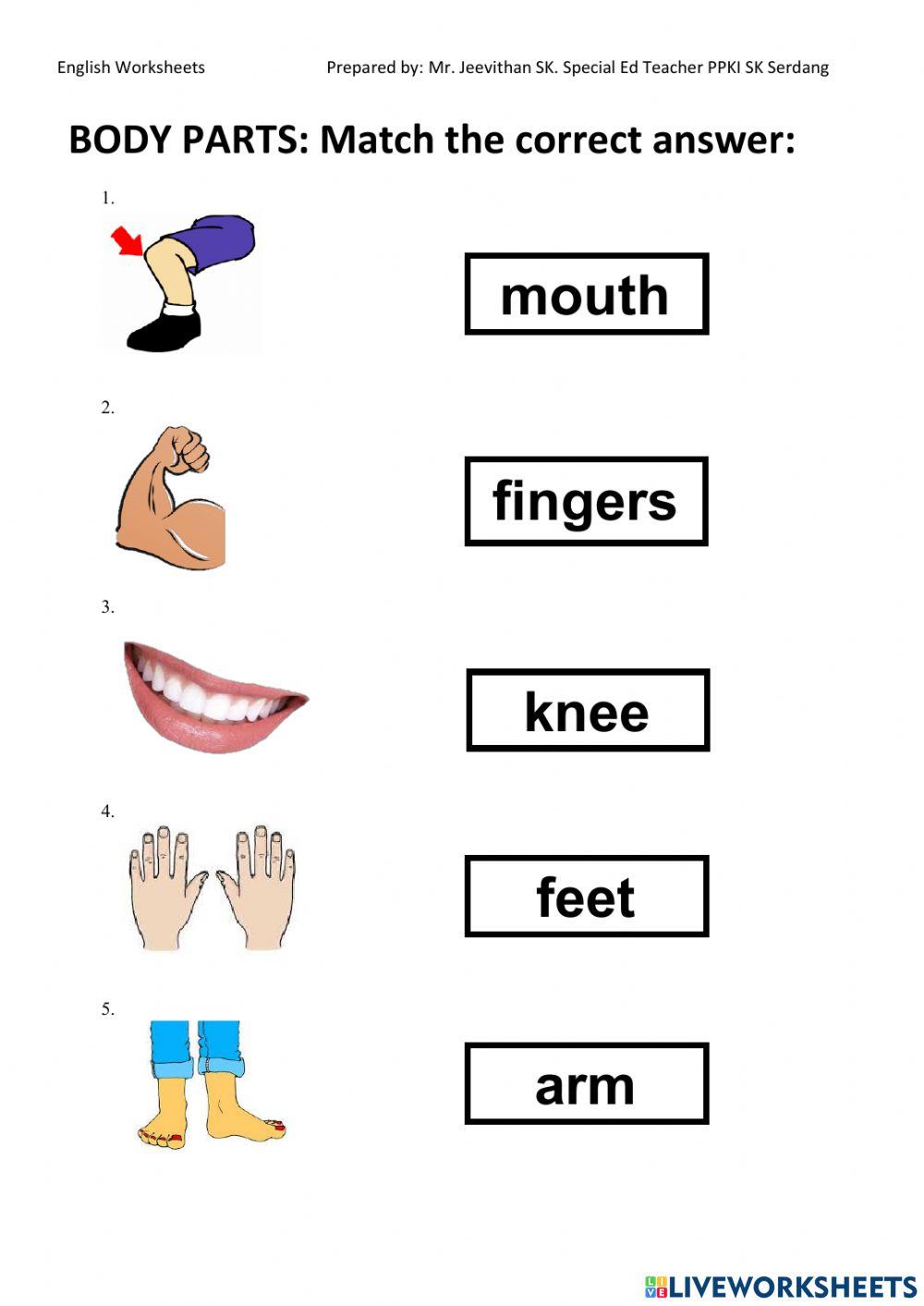Body parts