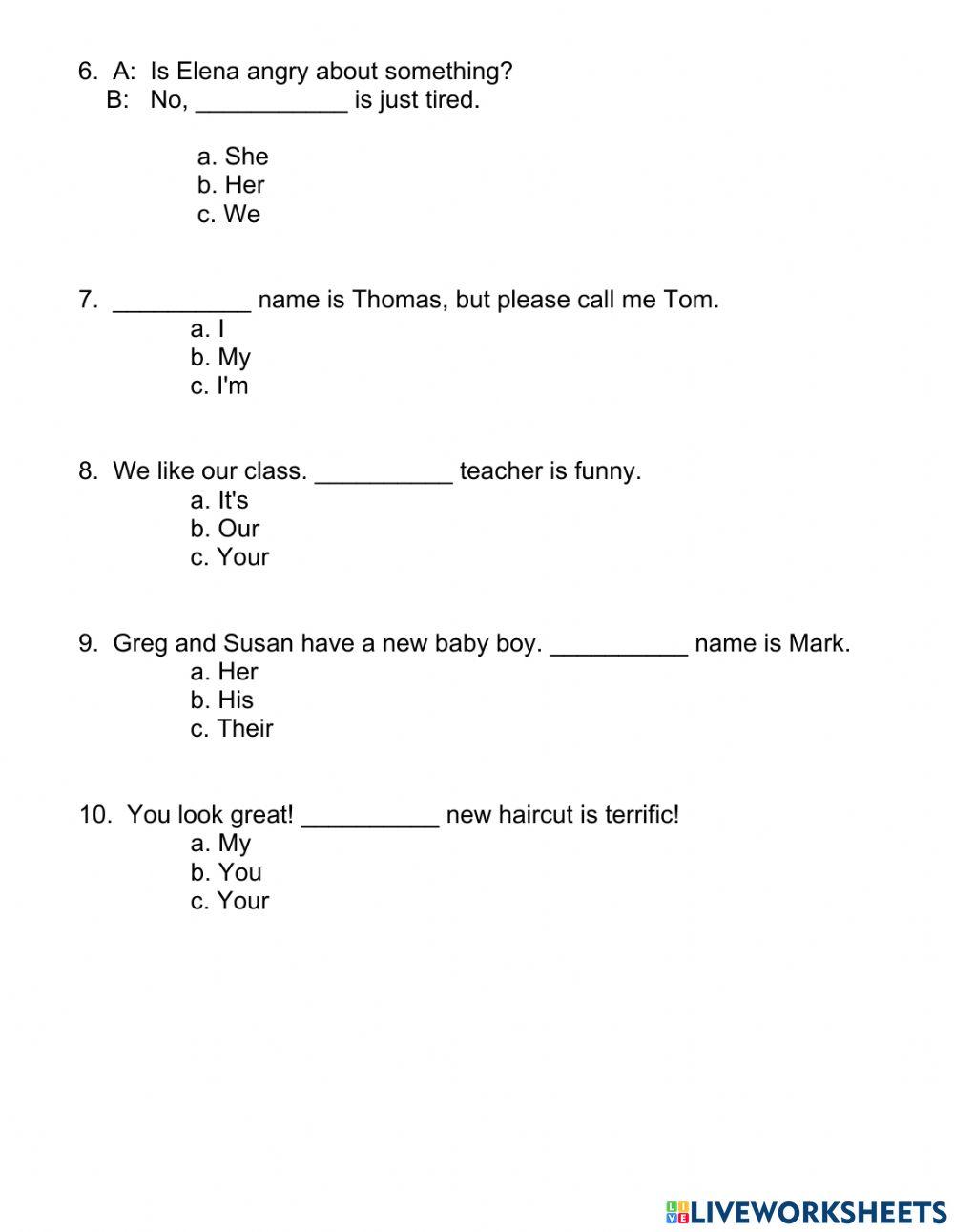 Subject Pronouns and Possessive Adjectives 2