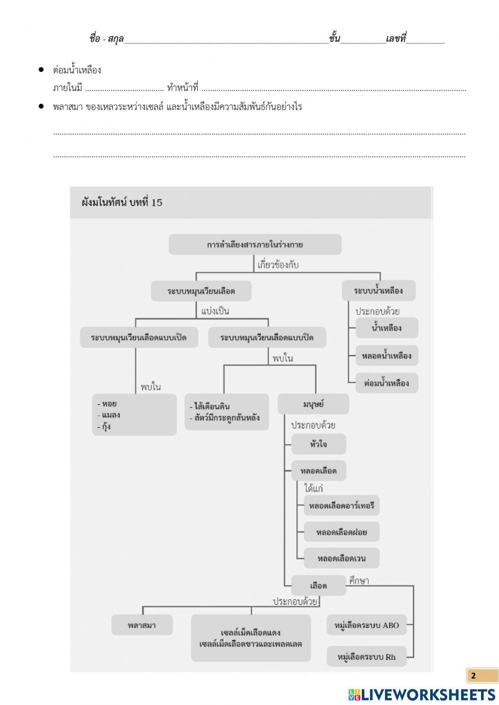 ใบงานที่ 9 ระบบน้ำเหลือง