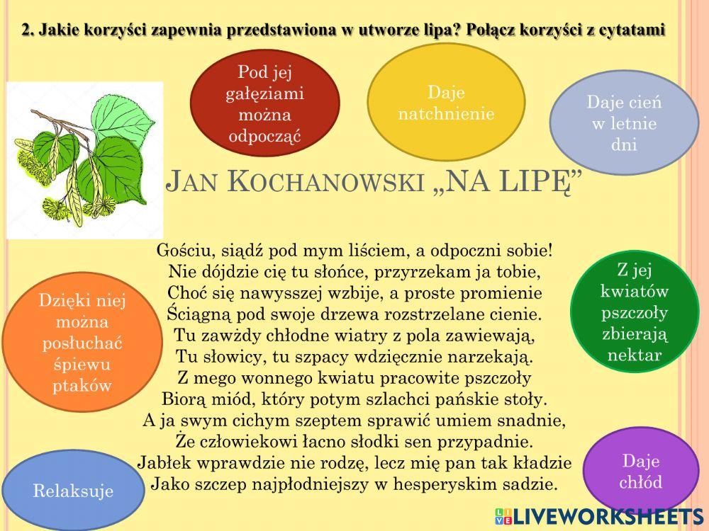 Jan Kochanowski - fraszka Na lipę