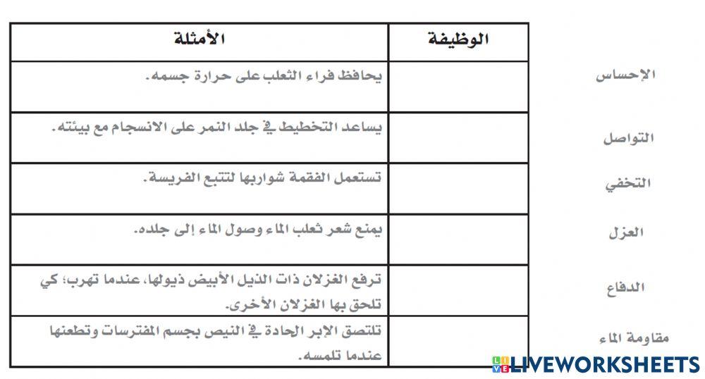 خصائص الثدييات