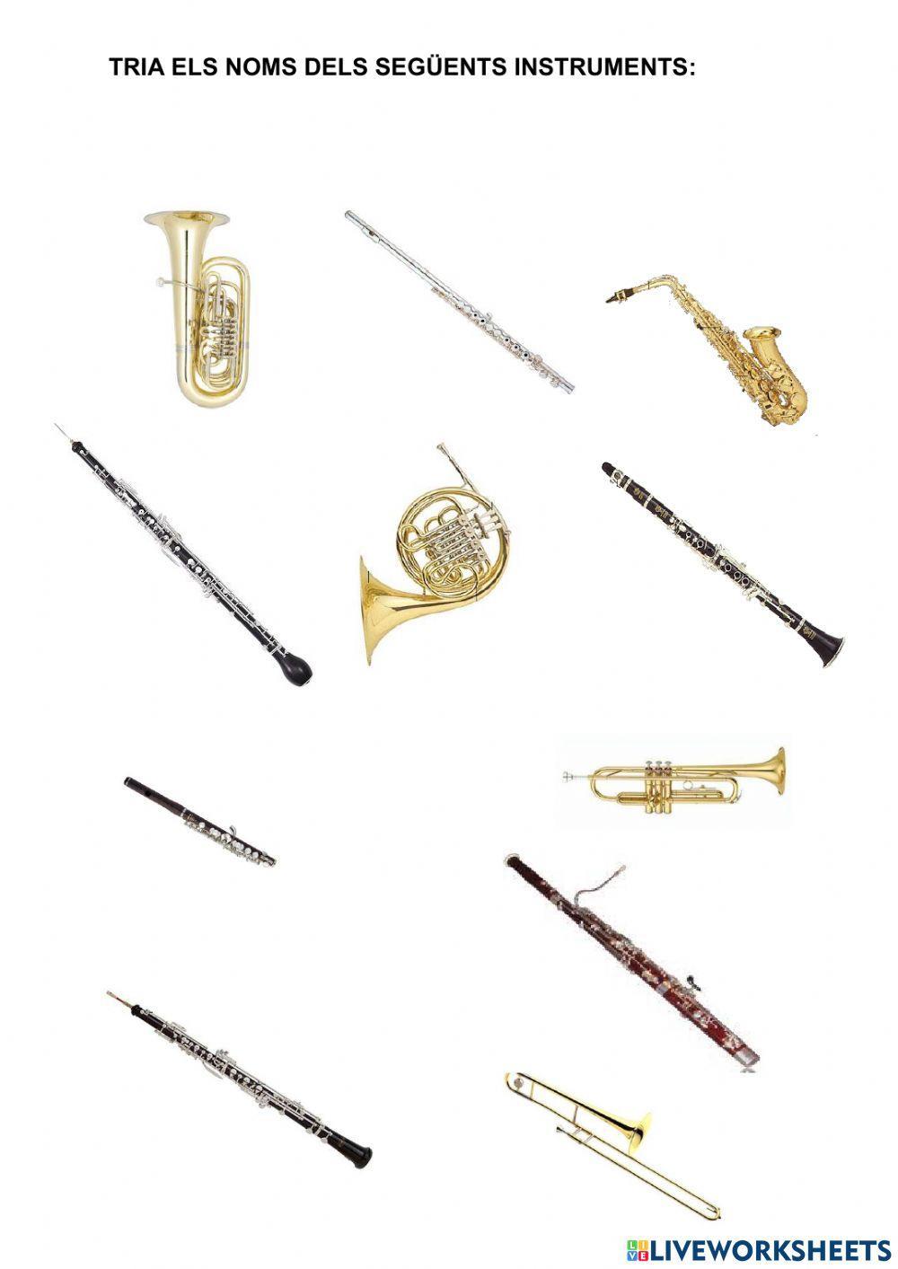 INSTRUMENTS DE VENT