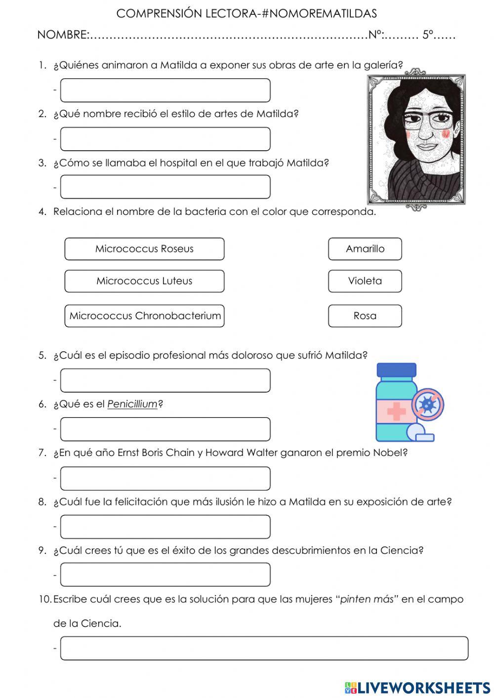 Comprensión lectora: NoMoreMatildas