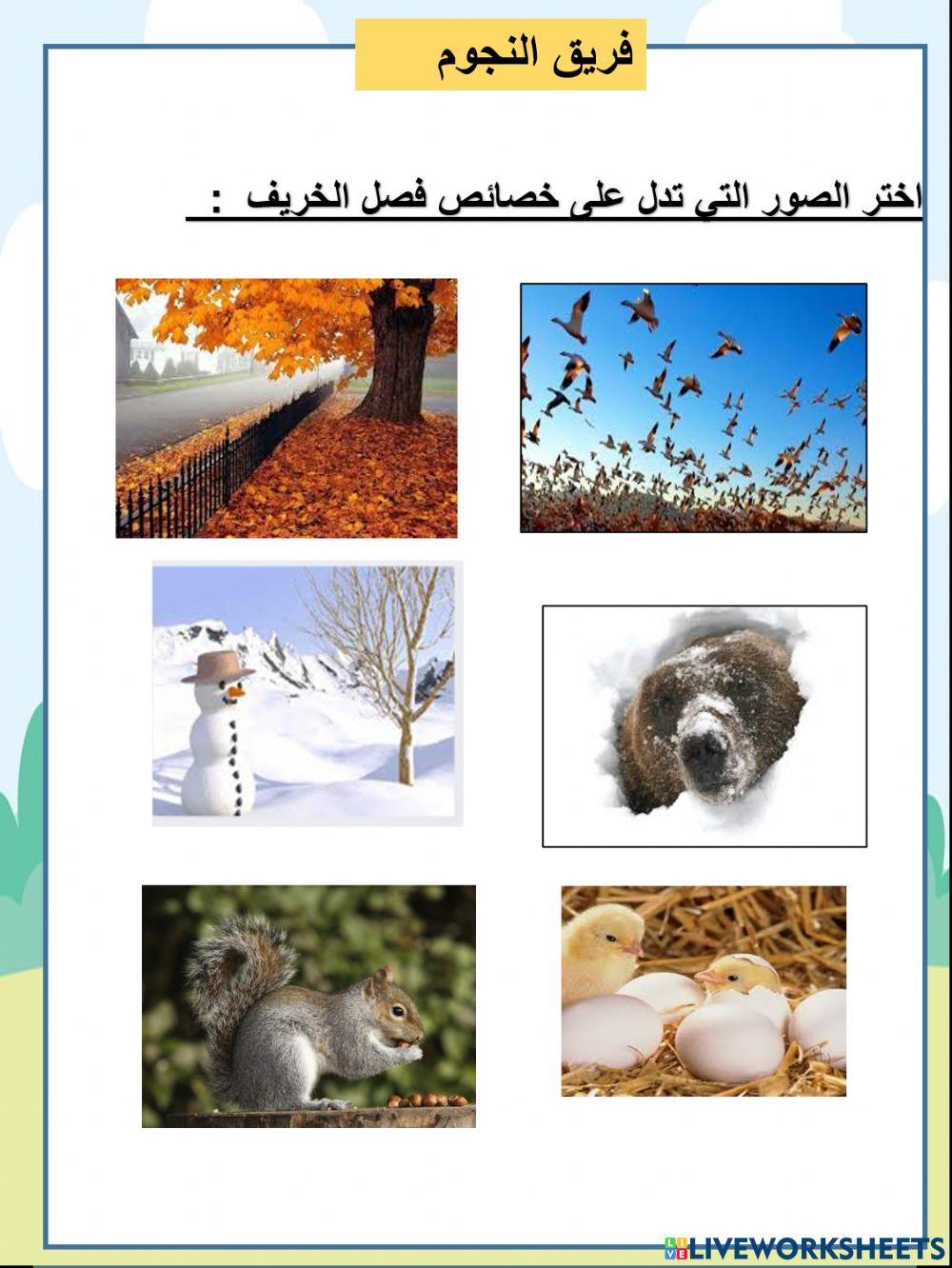 الخريف النجوم