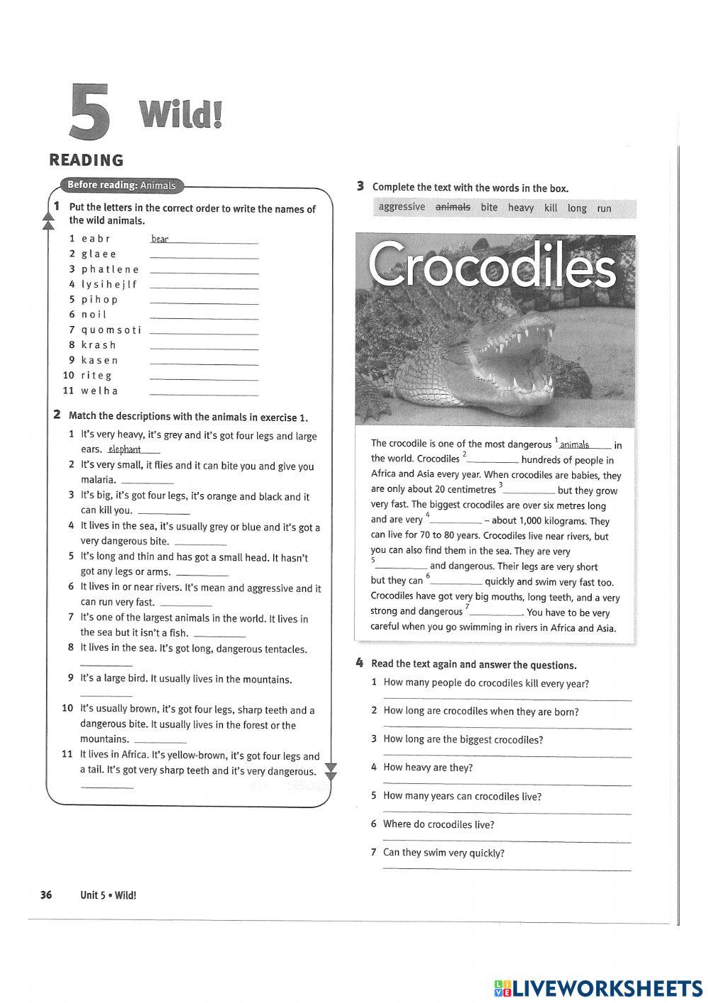 Dangerous animals | natka_ma | Live Worksheets