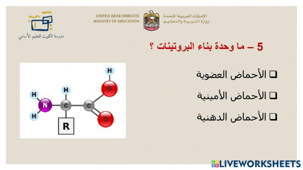 اصحاب الهمم الوحدة السادسة  الثامن
