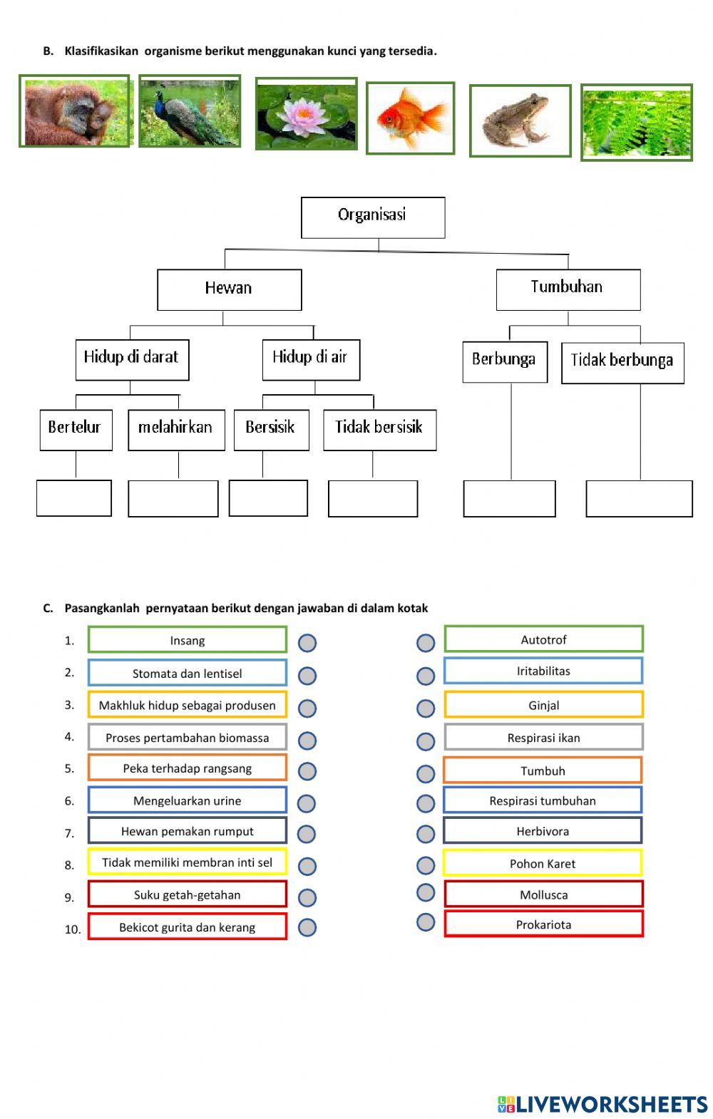 Klasifikasi Makhluk Hidup