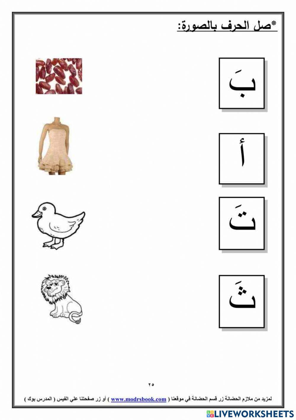 Select 4733033 mohamed145 liveworksheets