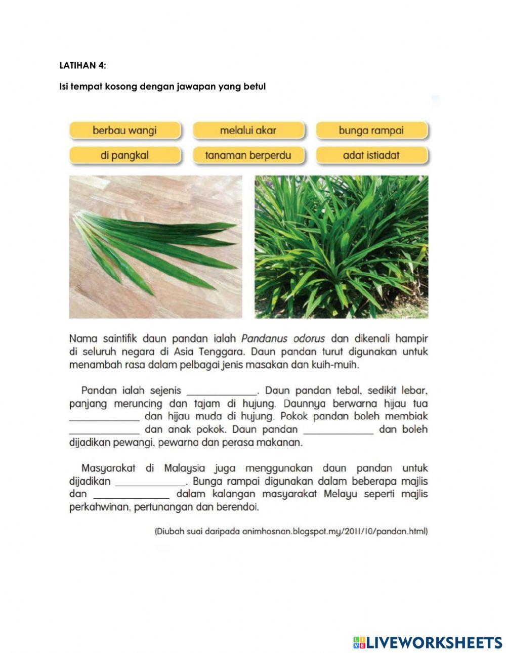 Tema 2: tumbuhan herba