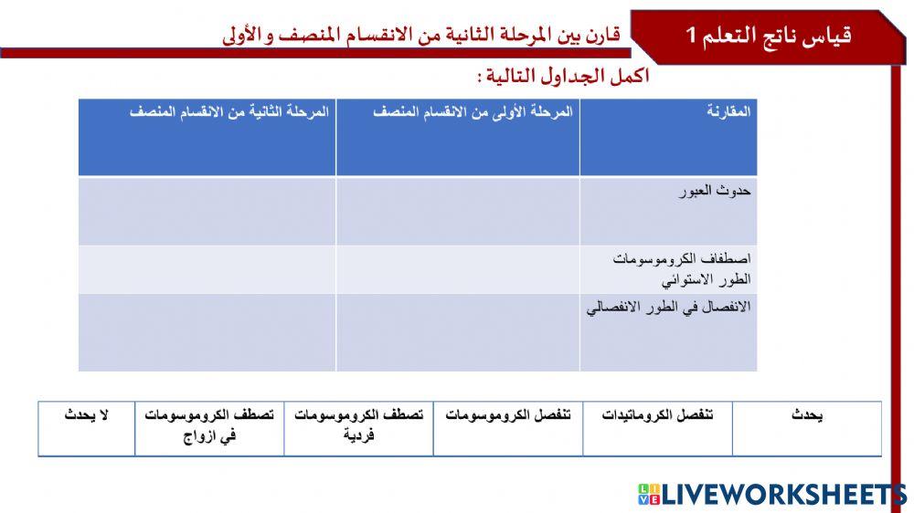 مقارنة بين المرحلة 1و 2 من الانقسام المنصف
