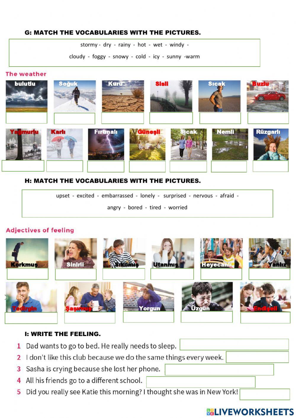 6th Grades Mid Term Revision