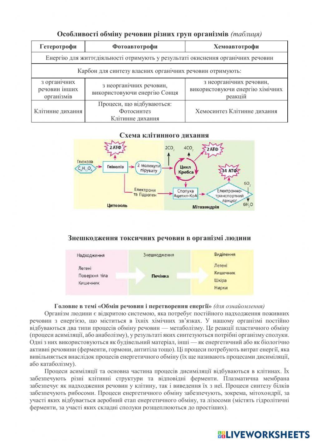 Практична робота 1 Складання схем обміну вуглеводів, ліпідів та білків у організмі людини