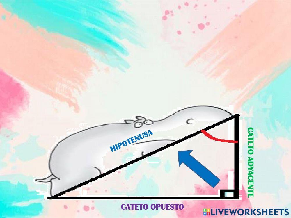 Cateto opuesto, cateto adyacente, hipotenusa.