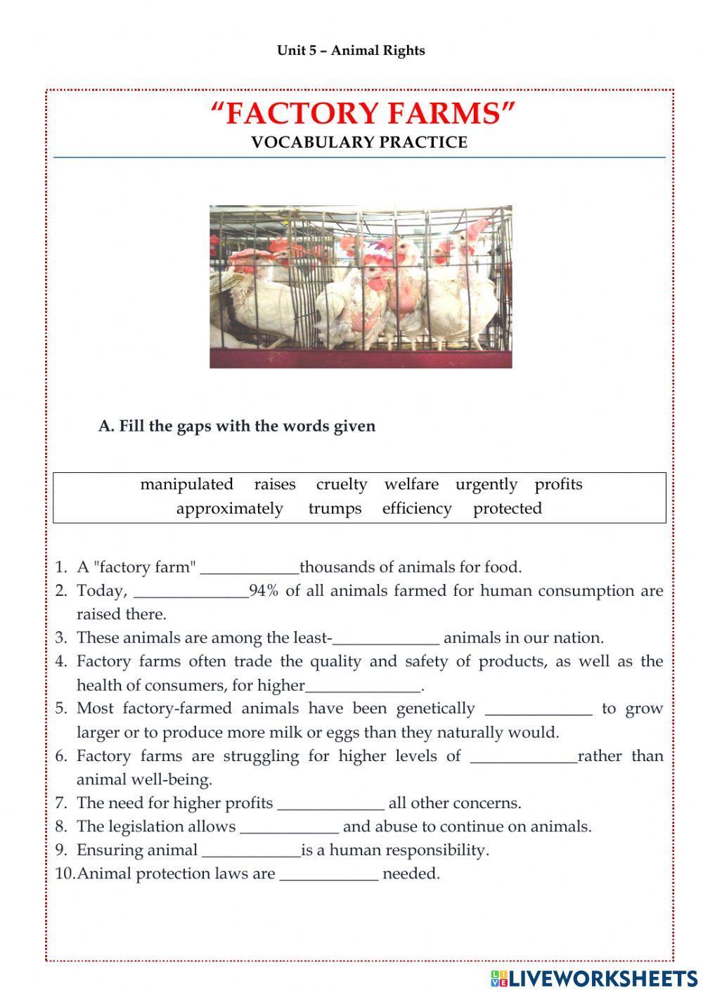 Unit 5 -Animal Rights- FACTORY FARMS