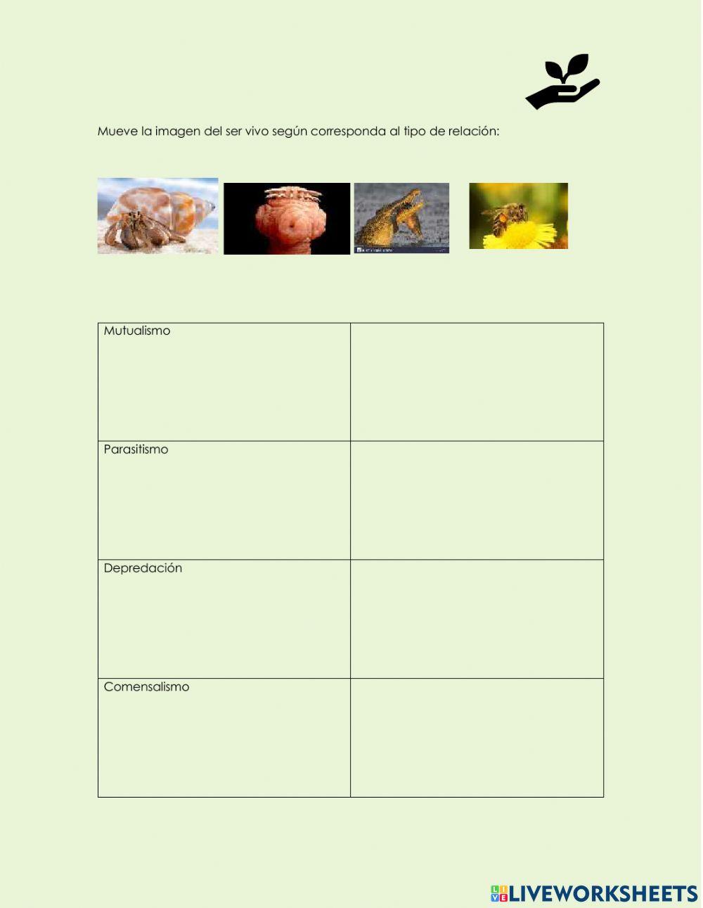 Relaciones entre los seres vivos