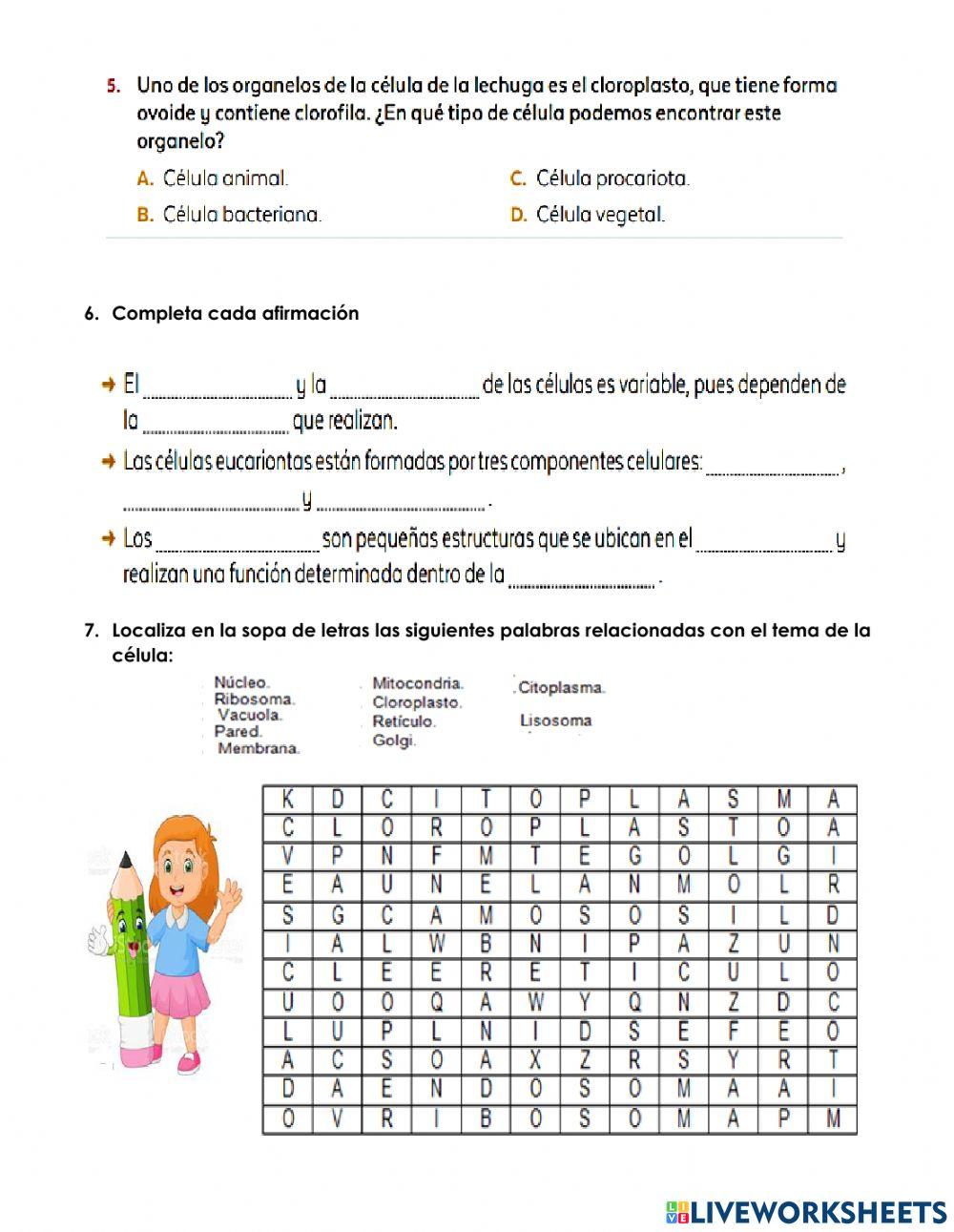 Clasificación celulas