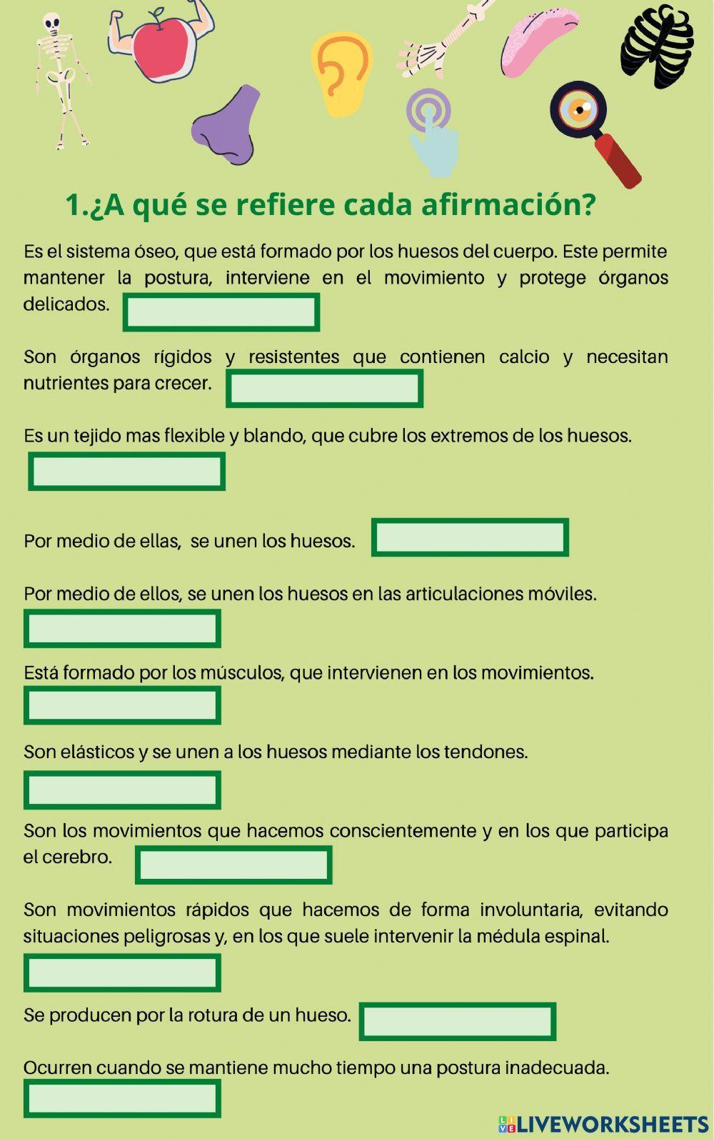 El aparato locomotor