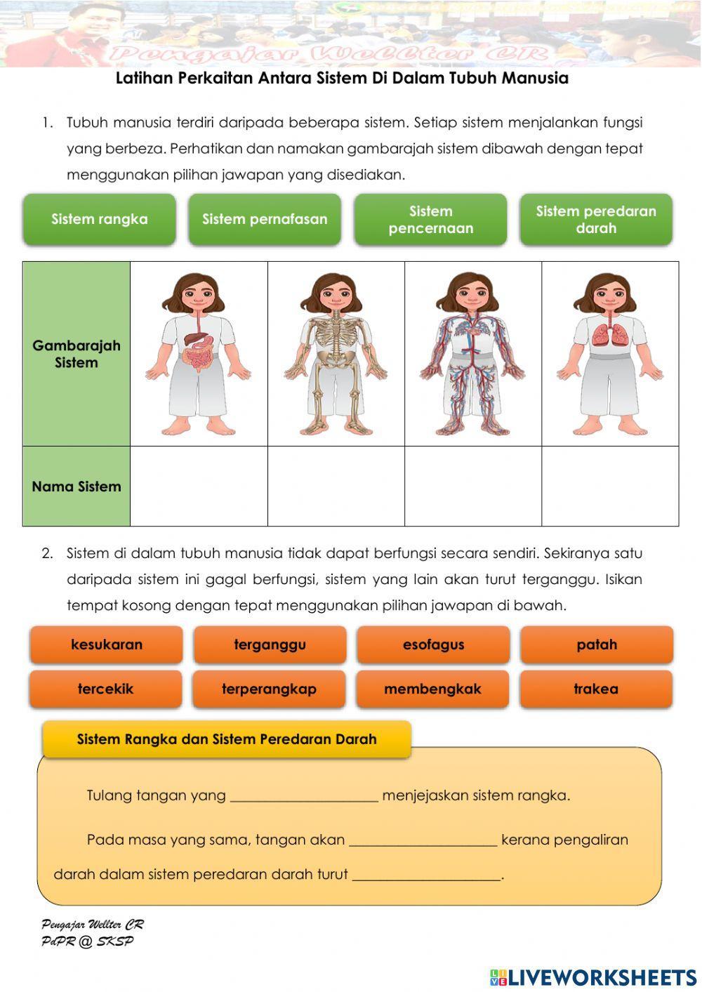 Tahun 5 Perkaitan Antara Sistem Di Dalam Tubuh Manusia