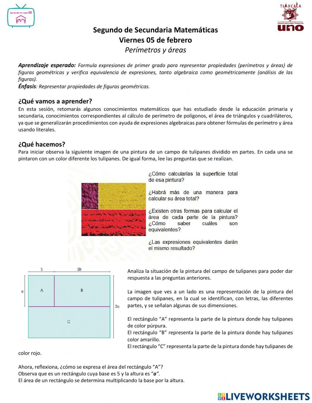 Perímetros y áreas