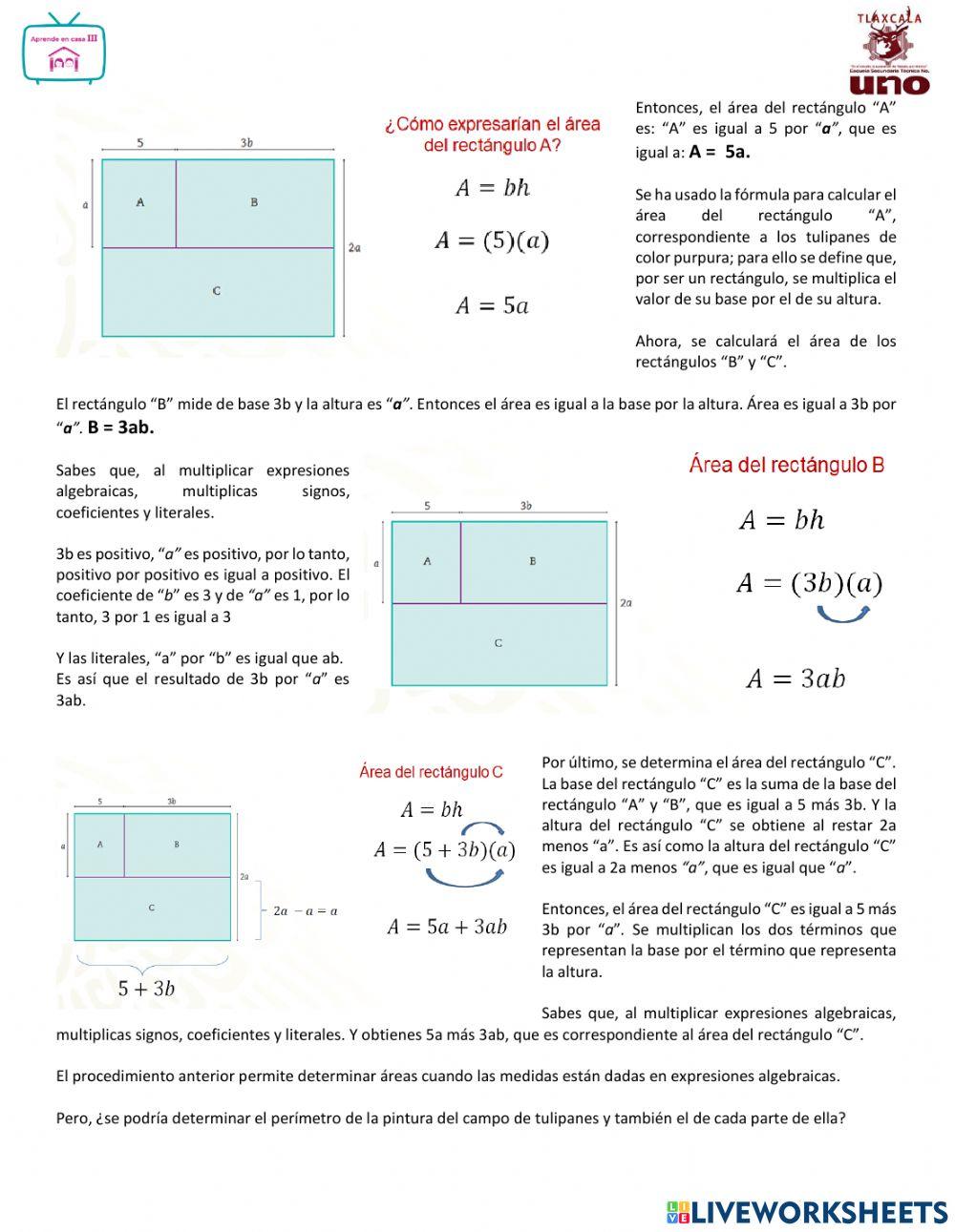 Perímetros y áreas