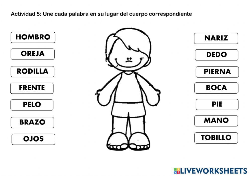 partes-del-cuerpo-interactive-worksheet-for-4-y-5to-grado-live