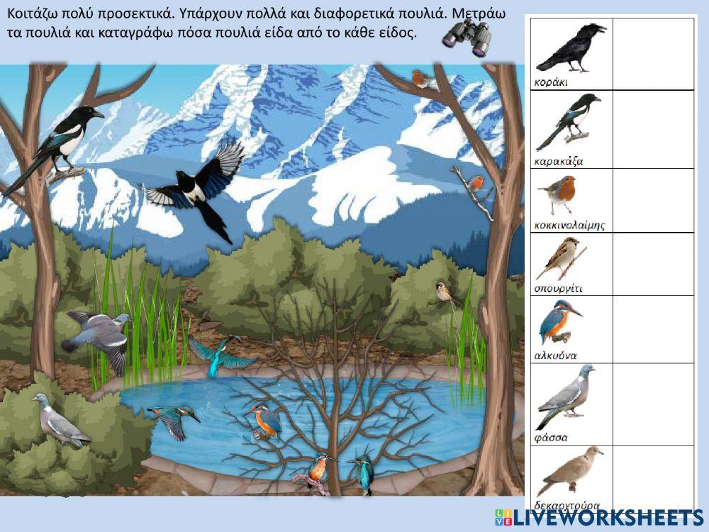 Παρατηρητής πουλιών το Χειμώνα