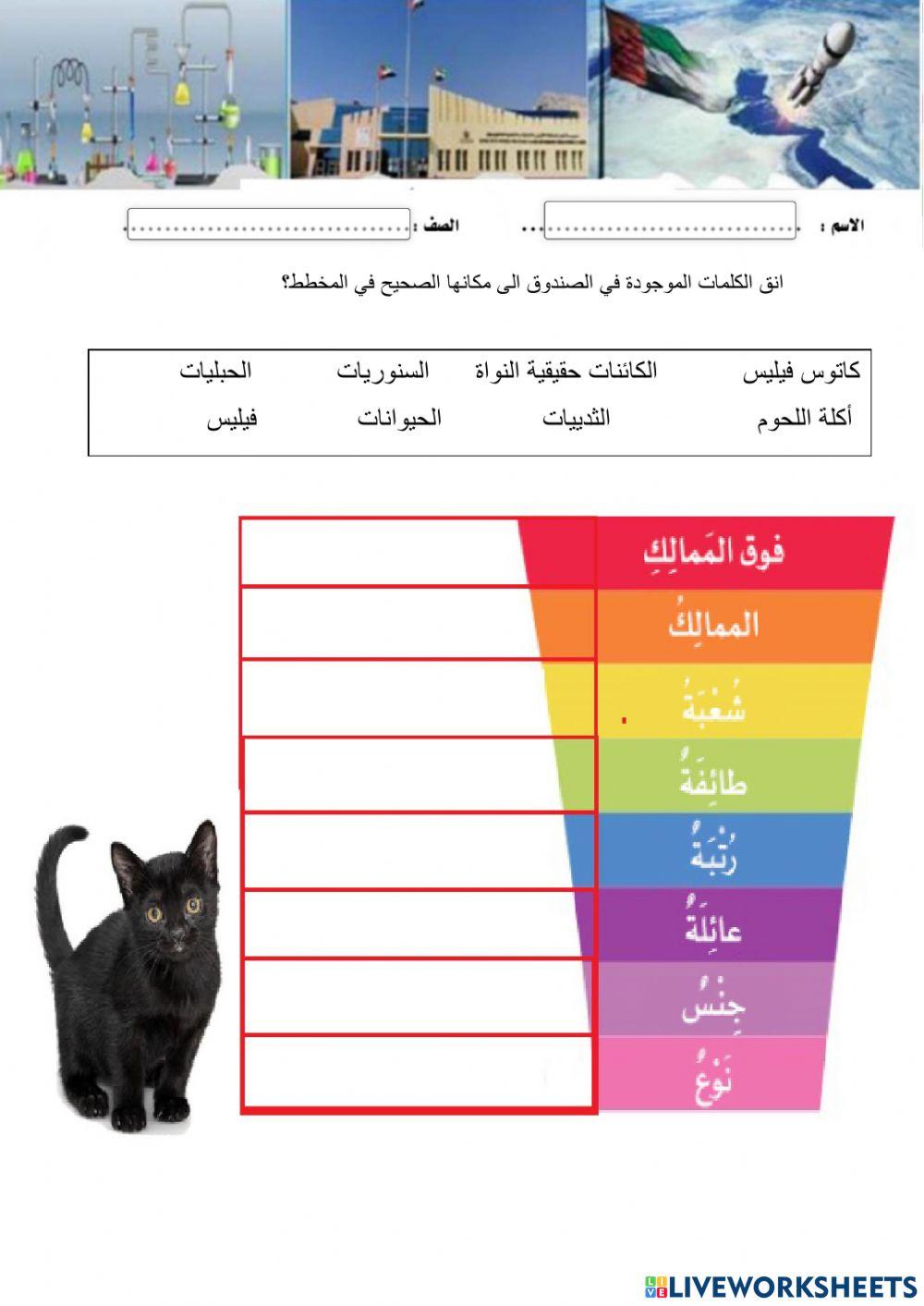 مجموعات التصنيف