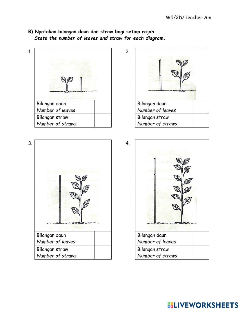 Measure and use numbers